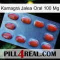 Kamagra Oral Jelly 100 Mg 06